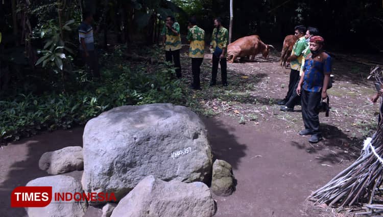 Mengenal Jenis dan Asal Usul Kuburan Megalitikum di Kabupaten Bondowoso