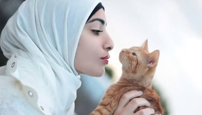 5 Manfaat Memelihara Kucing Bagi Para Jomblo