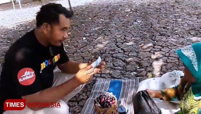 Kemarau, Saatnya Main ke Kebun Juwet Legendaris di Lamongan