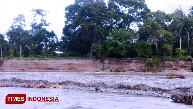 Erosi Sungai Krueng Babahrot Aceh Makin Parah, Ancam Rusak Rumah dan Kebun Warga