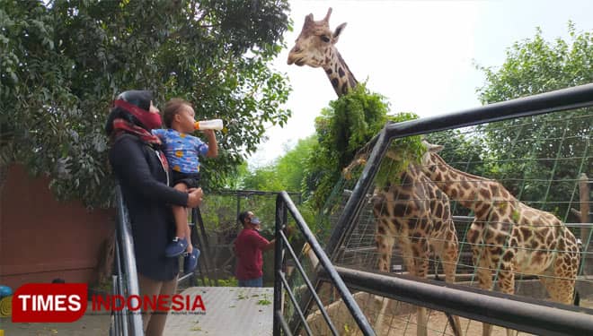 Ditutup Selama PPKM, Ratusan Satwa Maharani Zoo dan Goa Lamongan Butuh Uluran Tangan