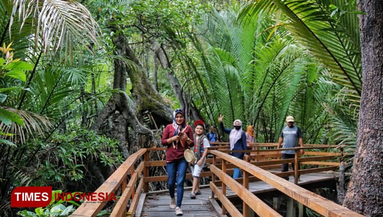 Menyusuri Taman Hutan Mangrove Gamtala Halmahera Barat
