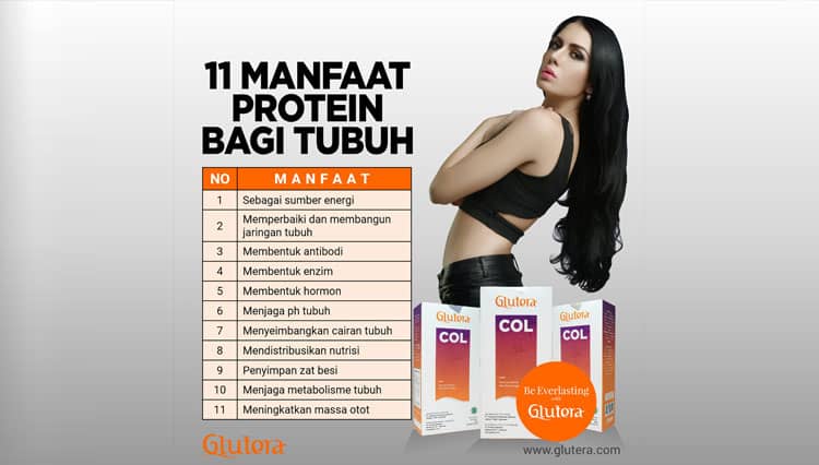 11 Manfaat Protein Bagi Tubuh