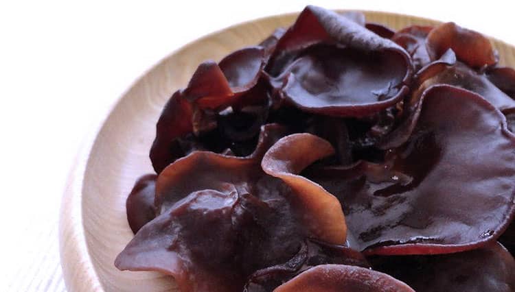 Yuk, Intip Manfaat Jamur Kuping untuk Kesehatan!