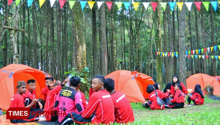 Wisata Hutan Pinus Songgon Jadi Lokasi Favorit Berkemah di Banyuwangi