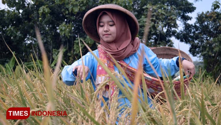 Generasi Milenial Cirebon Diharapkan Memiliki Minat Menjadi Petani Milenial