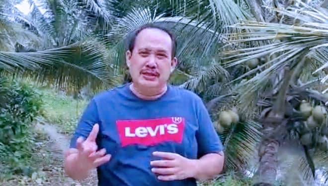 Pemkab Pangandaran Rancang Pengembangan Sertifikasi Bibit Kelapa Hibrida
