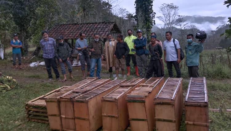 Tangkap Kera Perusak, Pemdes Ngreco Pacitan Gandeng LIPI dan BKSDA