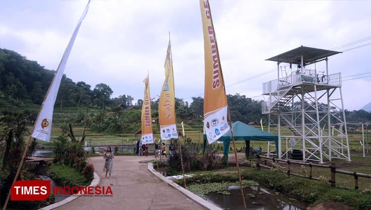 Wisata Sawah Antarkan Desa Ketapanrame Mojokerto Menjadi Desa Berdaya