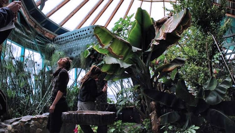 Ubah Gaya Hidup dengan Sustainable Living untuk Lingkungan Lebih Baik