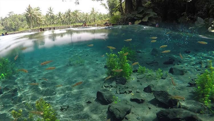 3 Wisata Sumber Air di Kabupaten Malang yang Jadi Jujugan Wisatawan