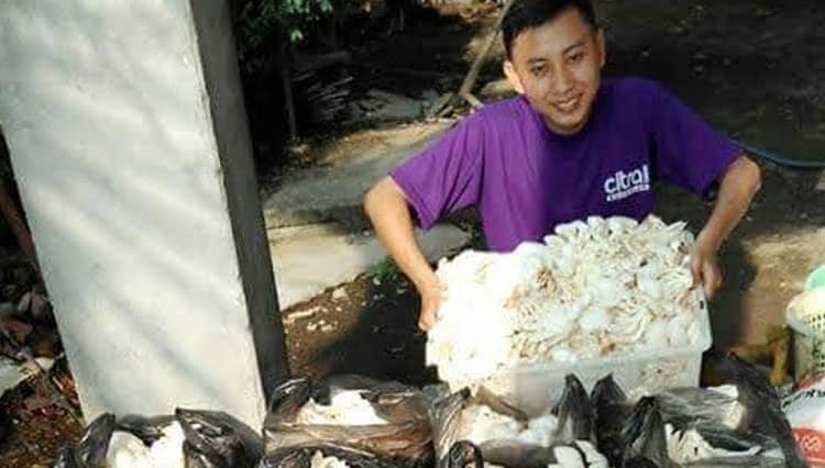 Budidaya Jamur dan Kripik Singkong Khas Probolinggo, Eksis di Tengah Pandemi