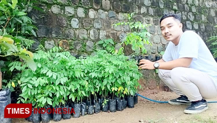 Mahasiswa di Pacitan Raup Untung Berkat Jual Bibit Tanaman saat Musim Penghujan
