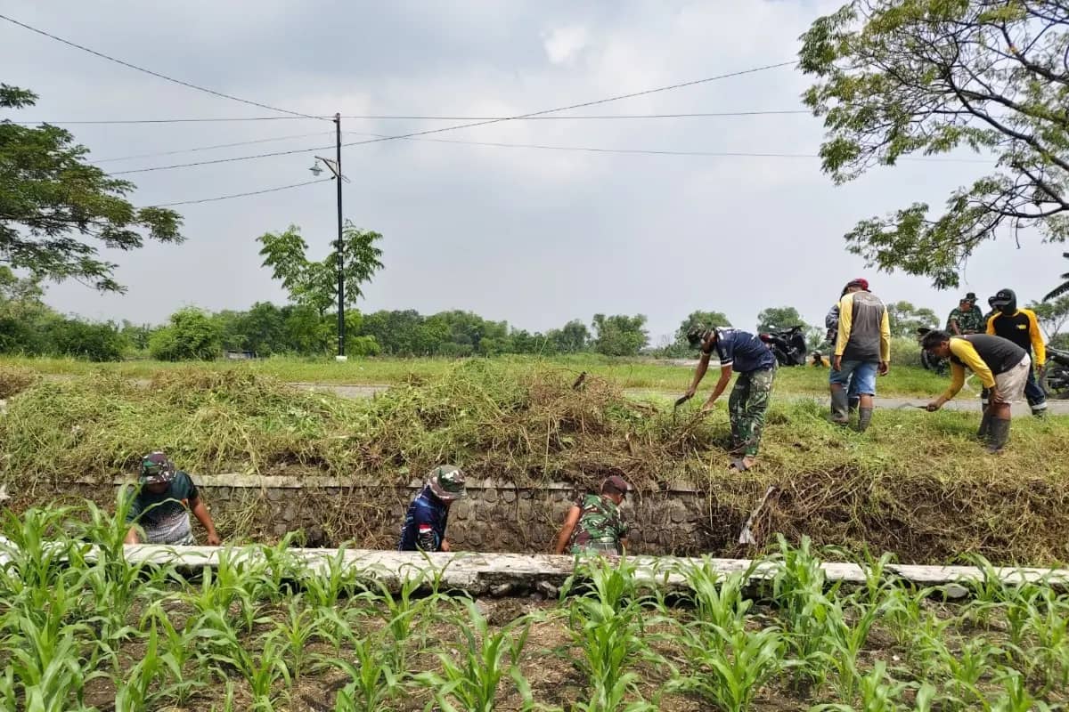 TMMD 128 Gresik Normalisasi Irigasi Desa Slempit untuk Jaga Produktivitas Pertanian